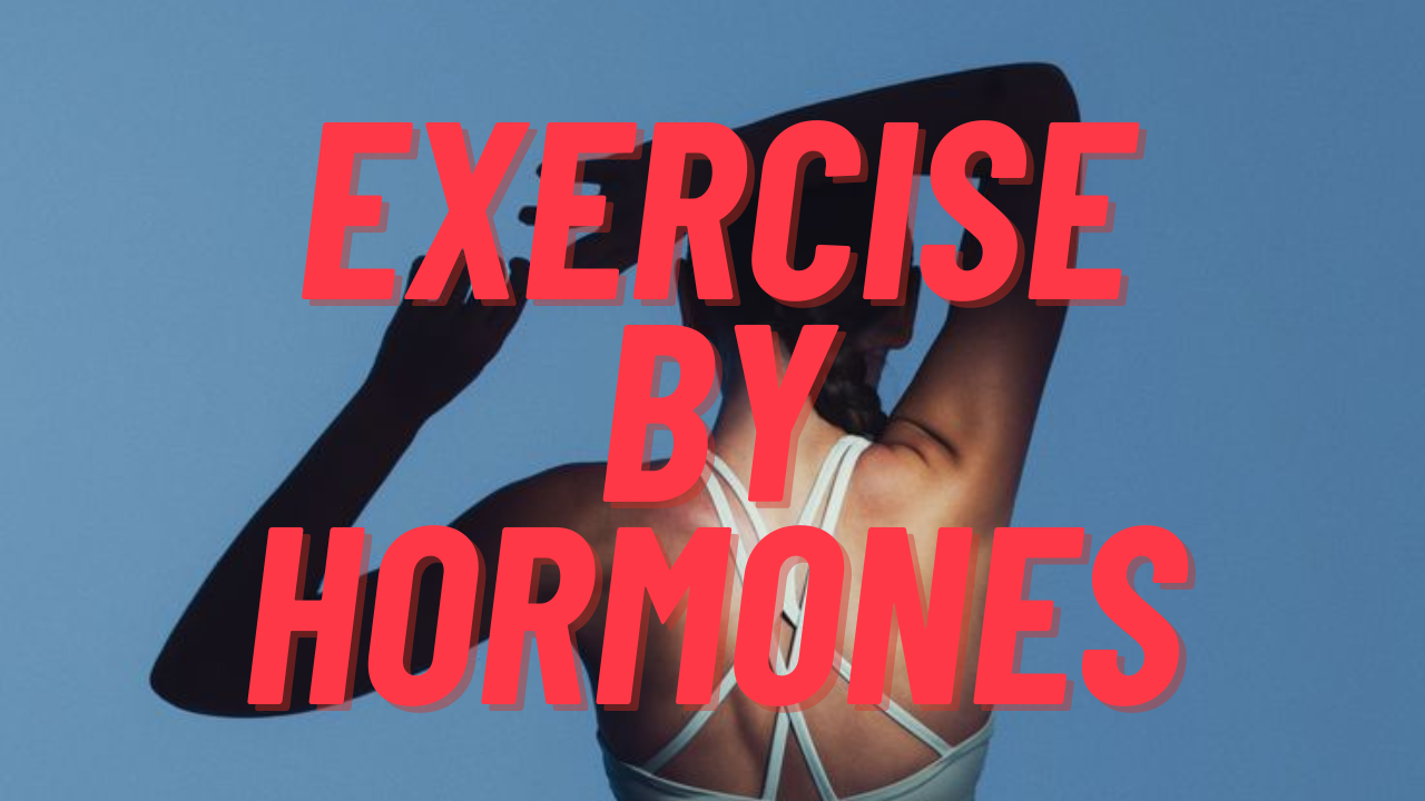 period-cycle-workout-diet-routine